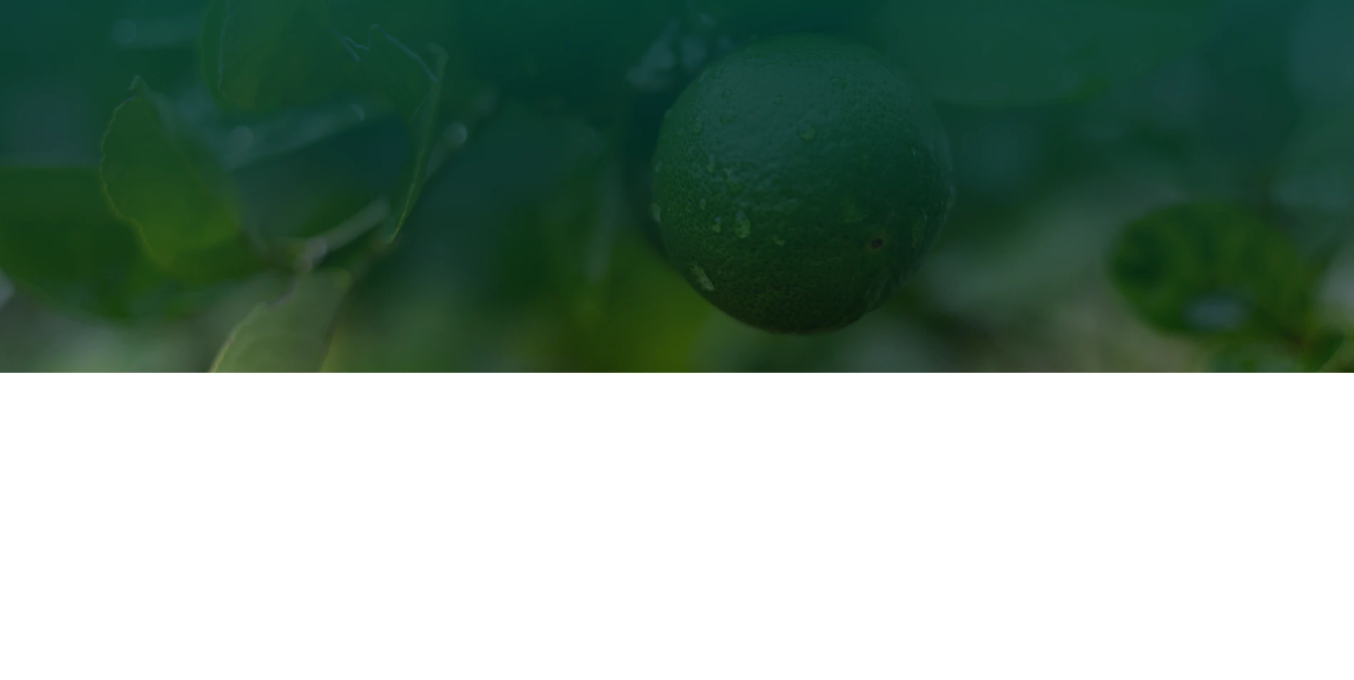 Help center header